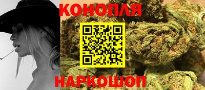 МДПВ Новодвинск