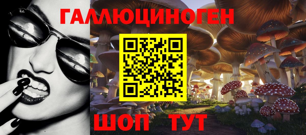 Орск  Псилоцибиновые грибы Psilocybine cubensis  Вход с VPN 