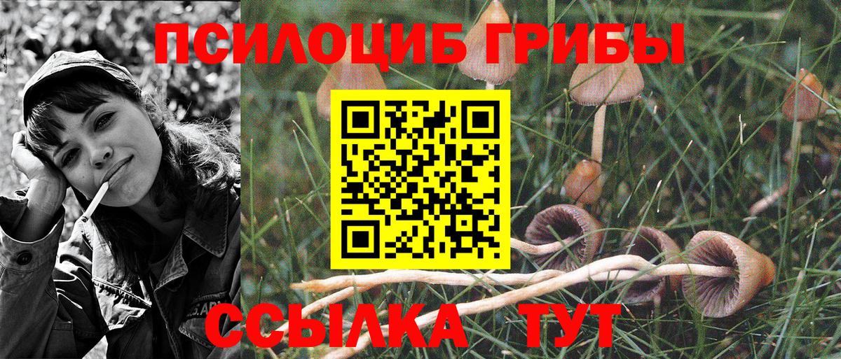 Галлюциногенные грибы мицелий Орск